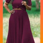 2 Piece Pleated Skirt and Top