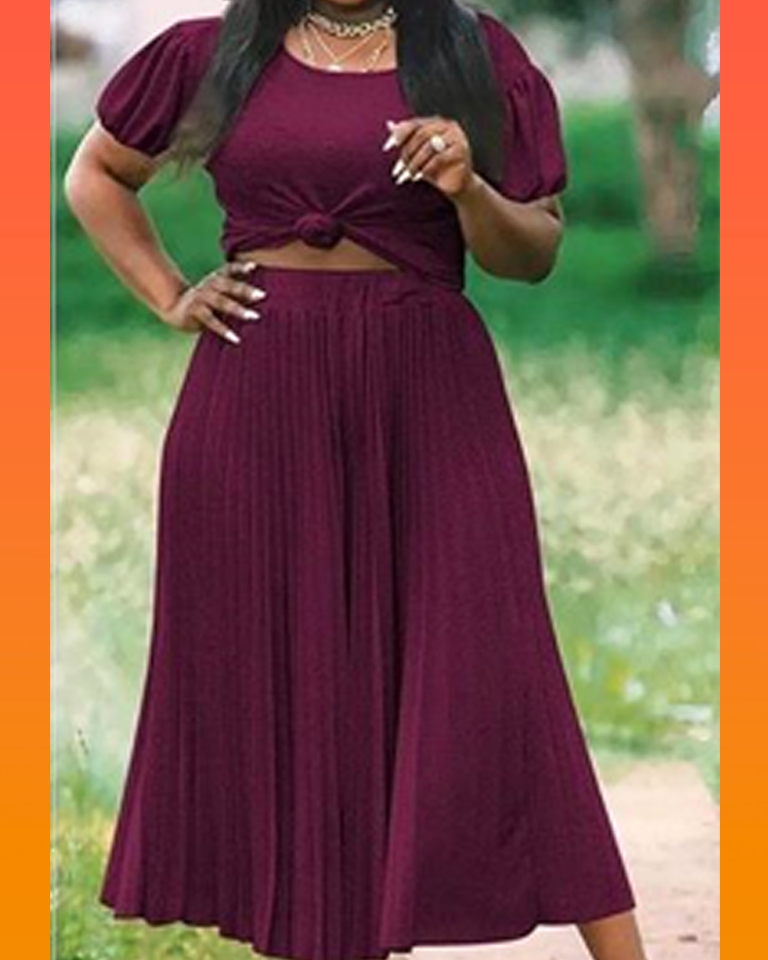 2 Piece Pleated Skirt and Top